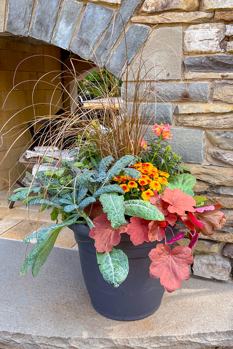 Chaletnurserys Signature | Fall | Farmhouse