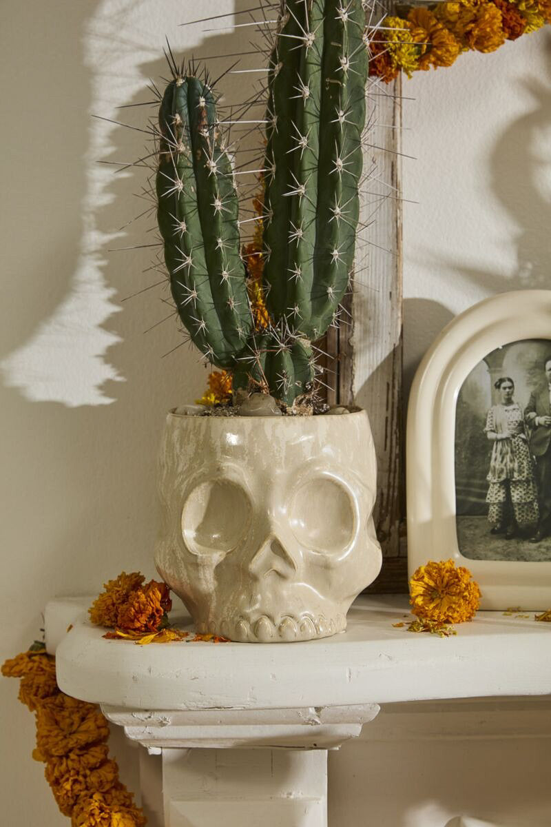 Haunting Skull Pot 6.5"x 7.5"x 6.25" Off White