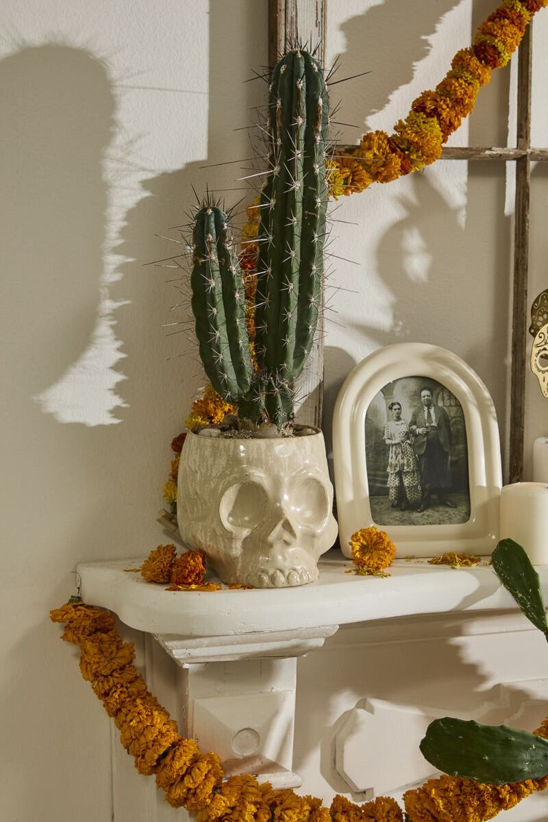 Haunting Skull Pot 6.5"x 7.5"x 6.25" Off White