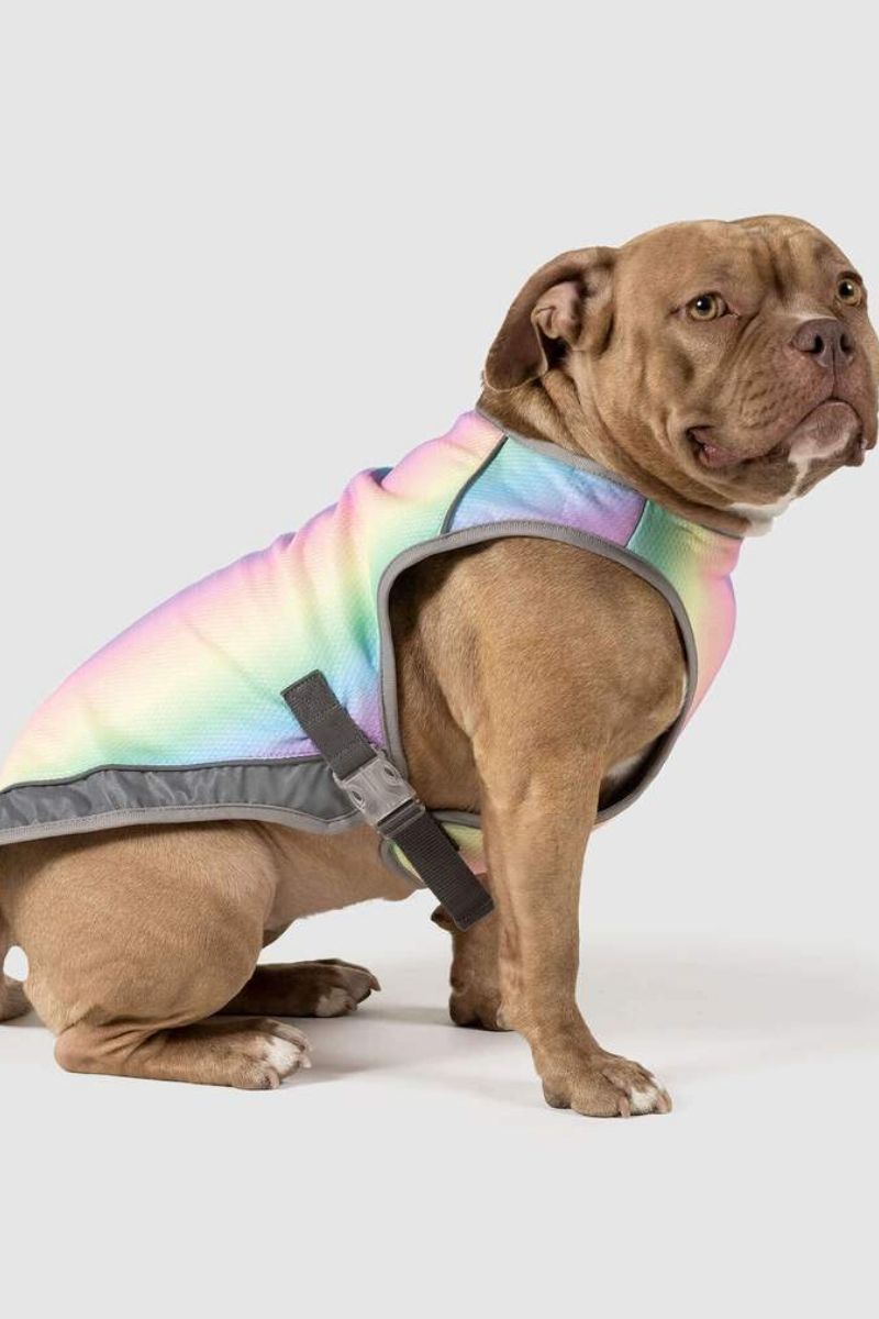 Canada Pooch Cooling Vest 8" Rainbow
